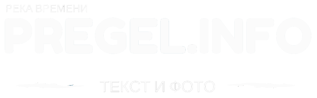 pregel.info